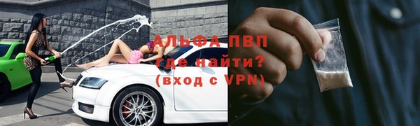 эйфоретик Богданович