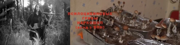 эйфоретик Богданович