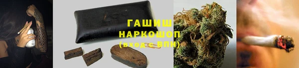эйфоретик Богданович