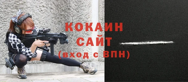 эйфоретик Богданович