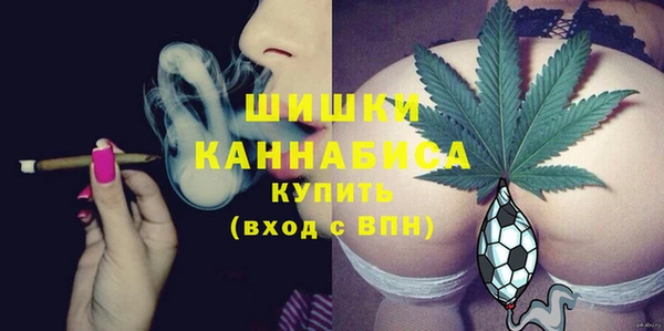 эйфоретик Богданович