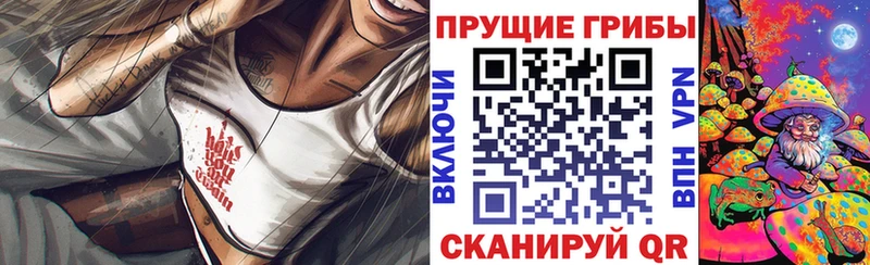 купить закладку  Новопавловск  Галлюциногенные грибы MAGIC MUSHROOMS 